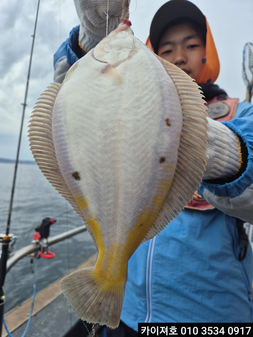 F26722018C.jpg