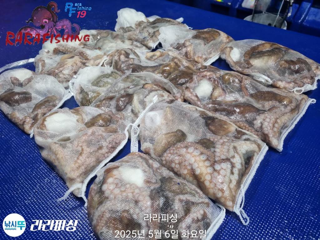 F26722289X.jpg