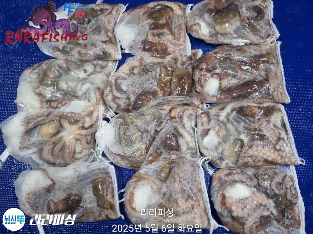F2672231XZ.jpg