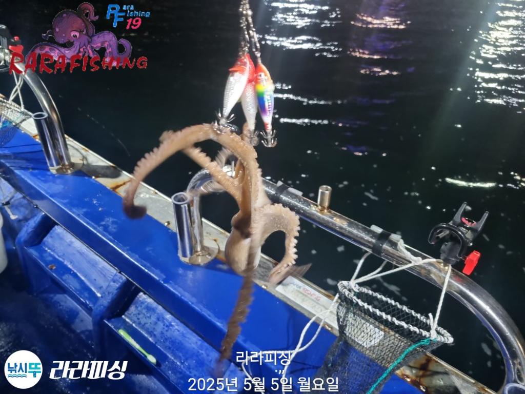F2672256UO.jpg
