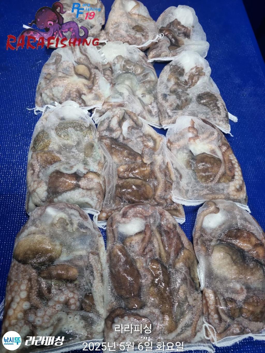 F2672263C4.jpg