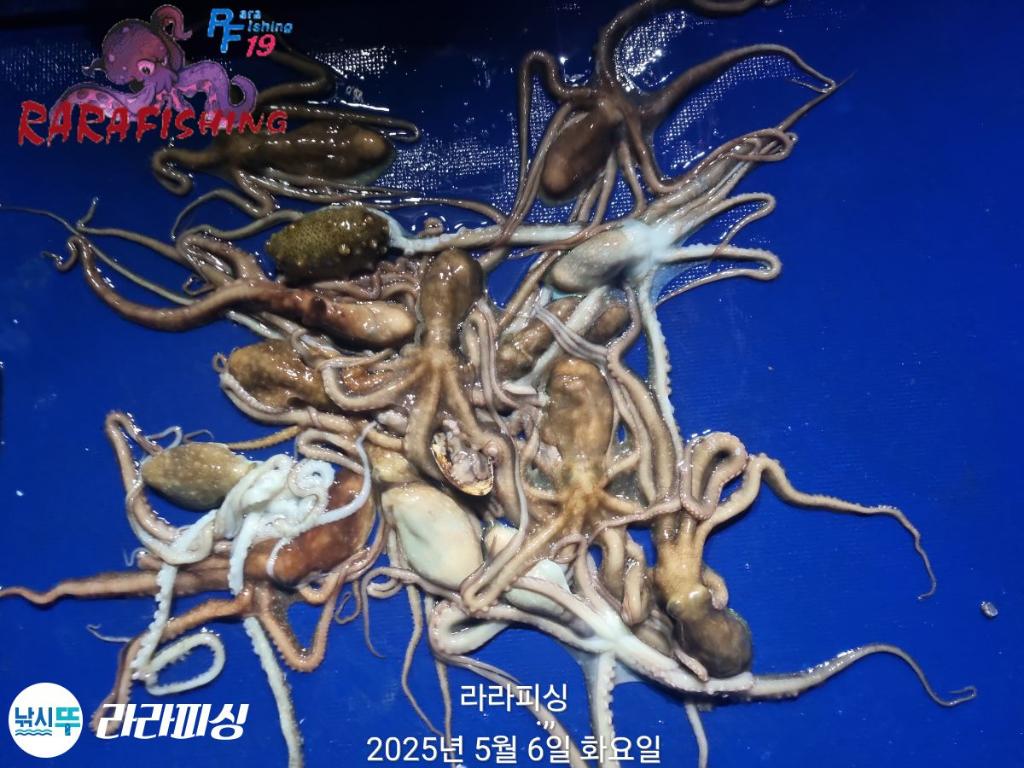 F2672267O4.jpg