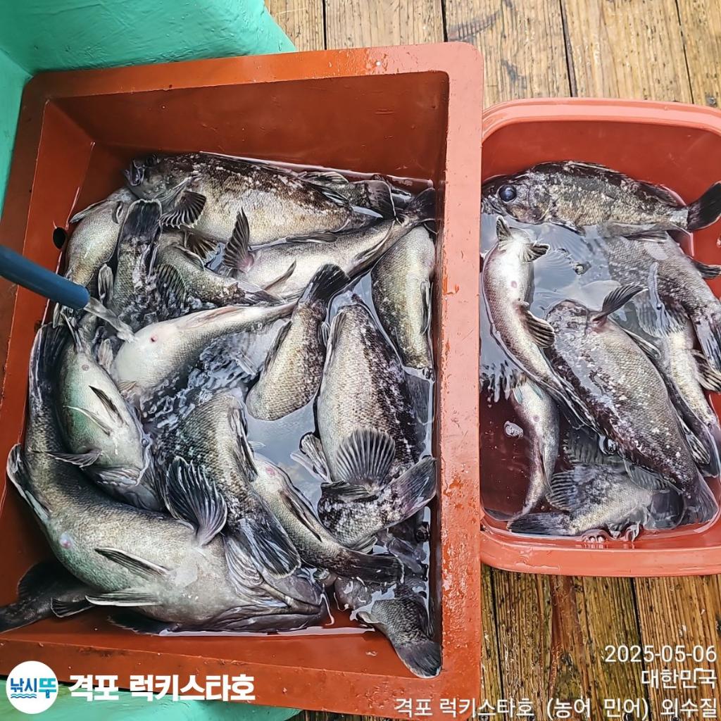F2672363UF.jpg