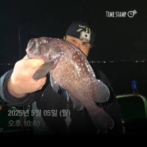 조황, 볼락캐스팅 선상조황