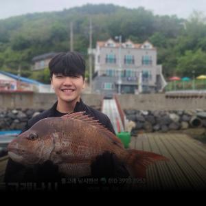 조황, ((풍화리))참돔 꼬라박기