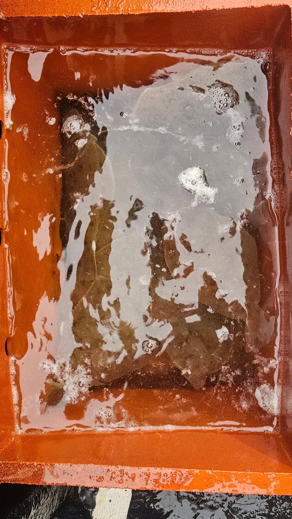 F2672602RS.jpg