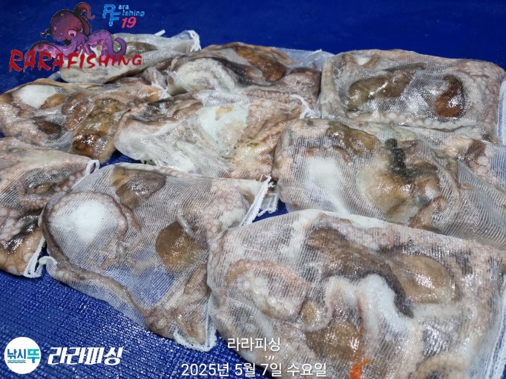 F2672739TX.jpg