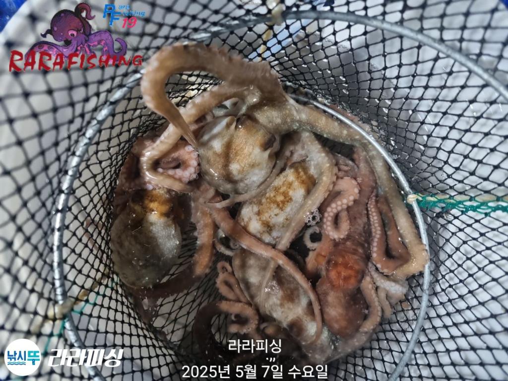 F2672741FU.jpg
