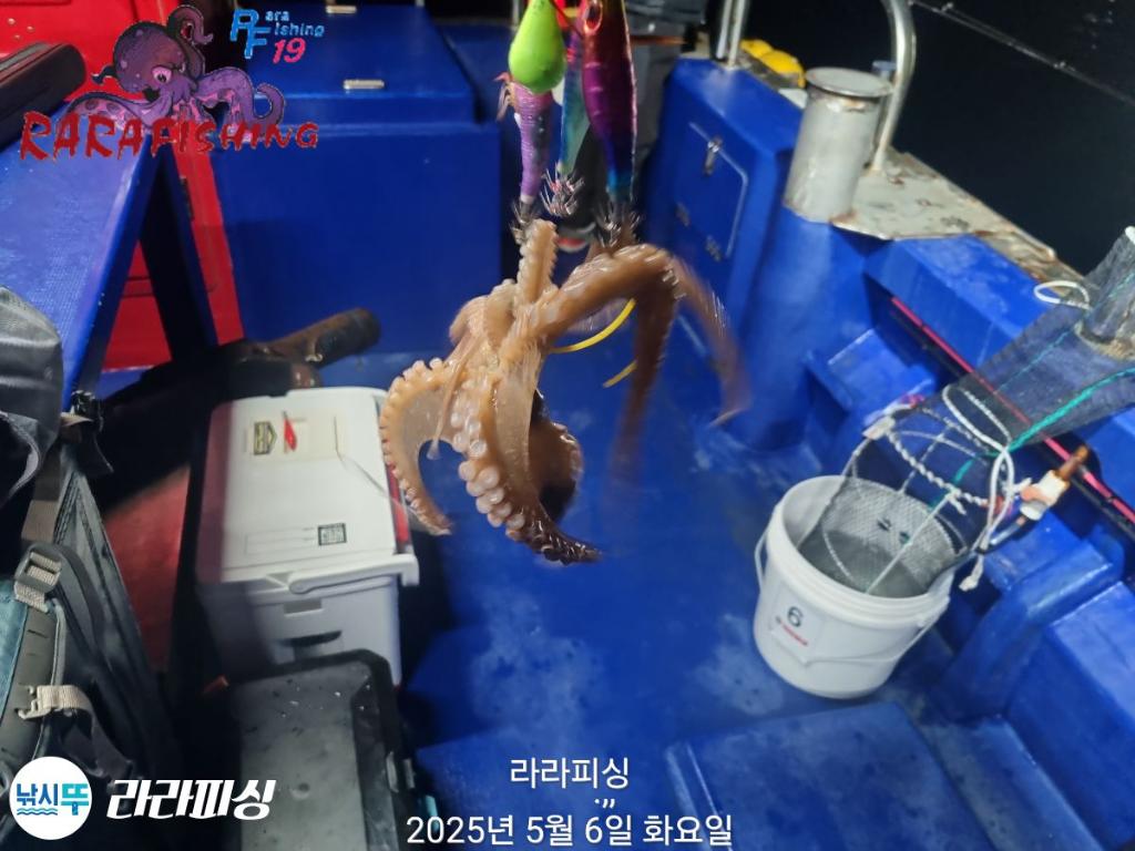 F267276216.jpg