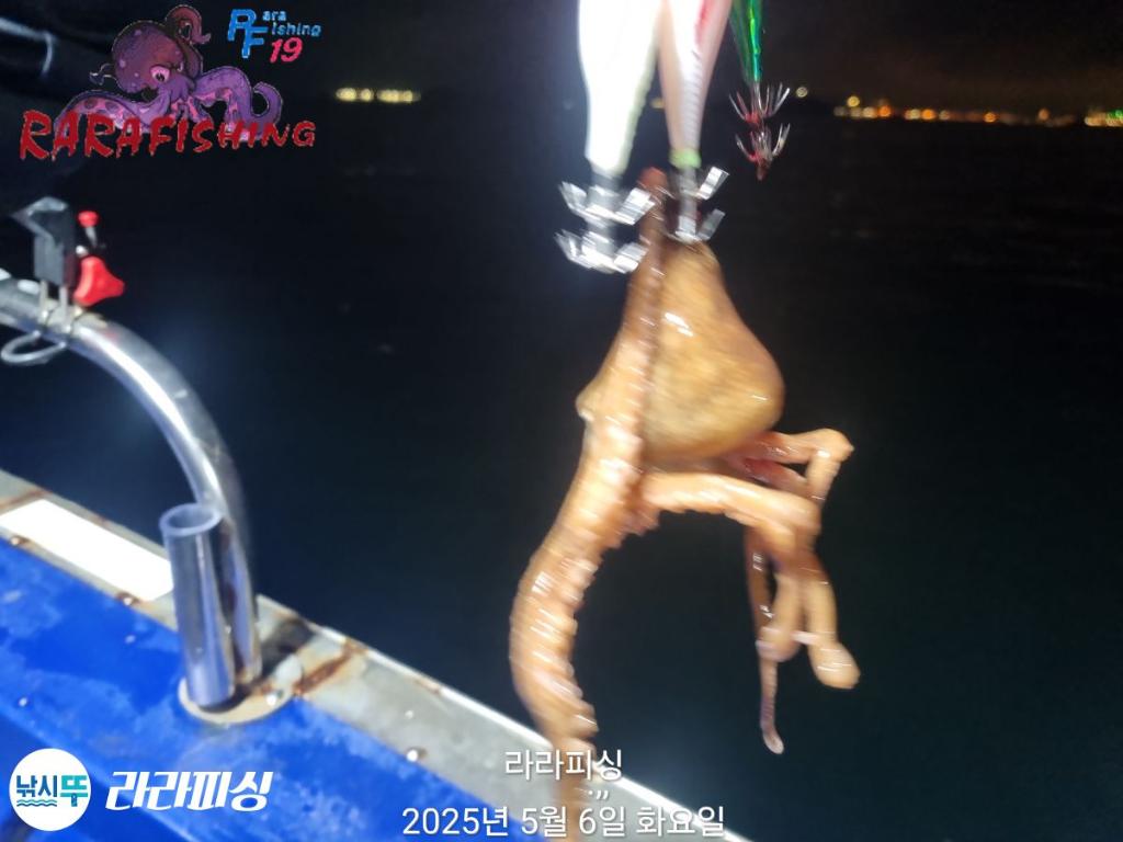 F2672763FU.jpg