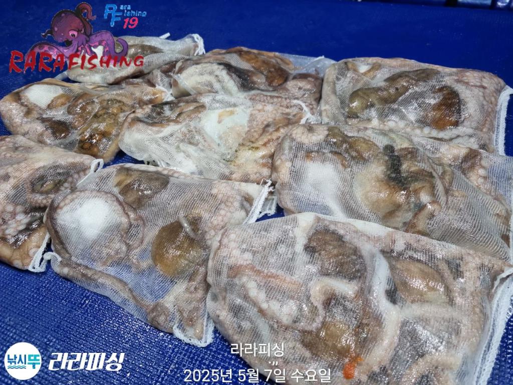 F2672871JN.jpg