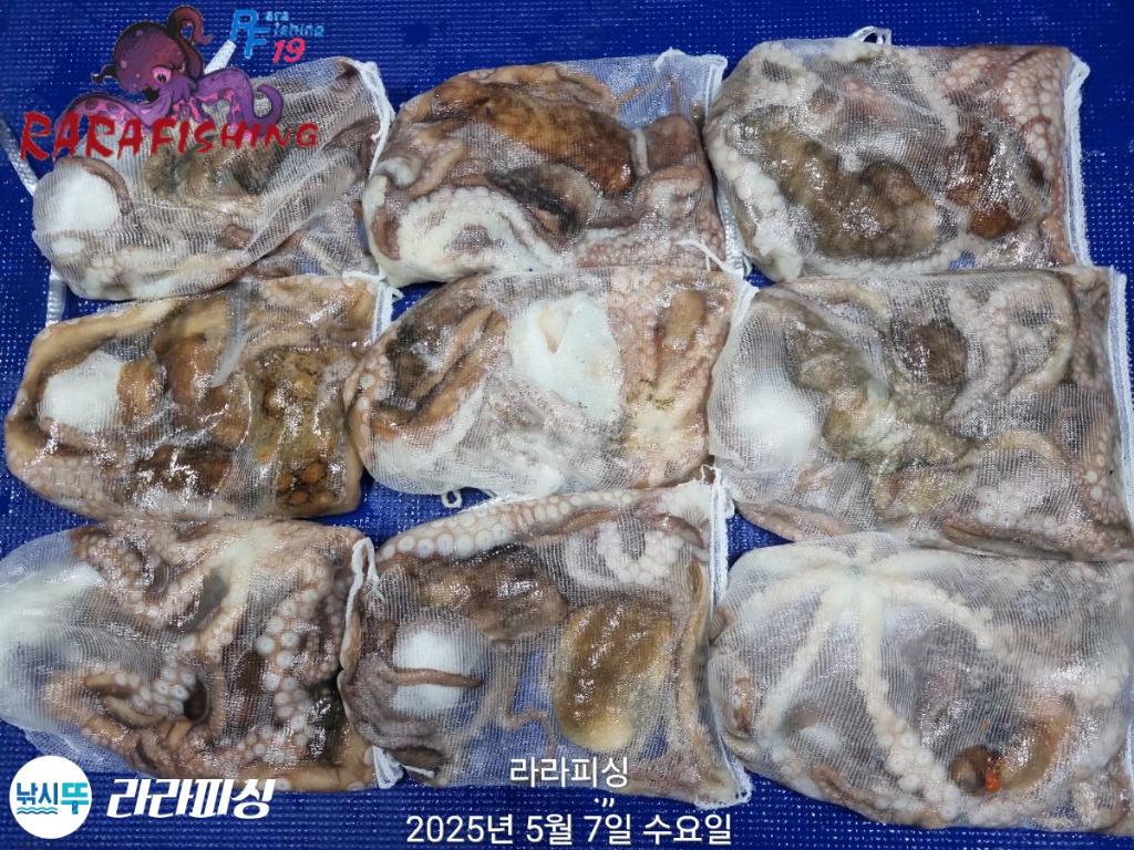 F2672872H6.jpg