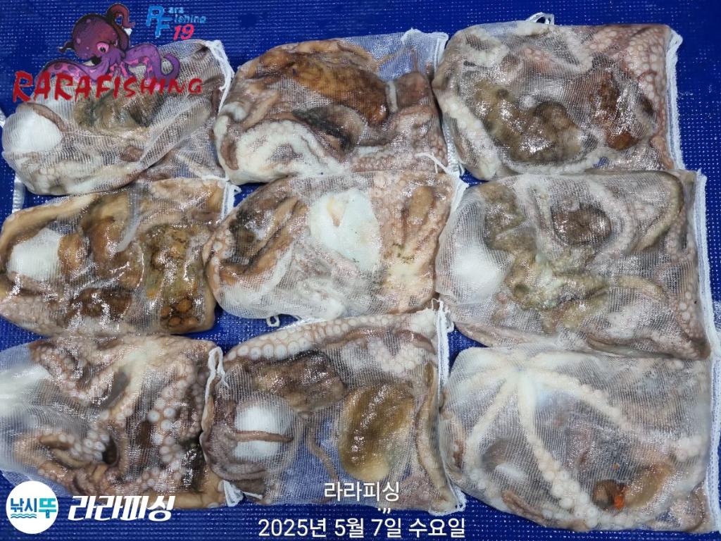 F2672873DH.jpg