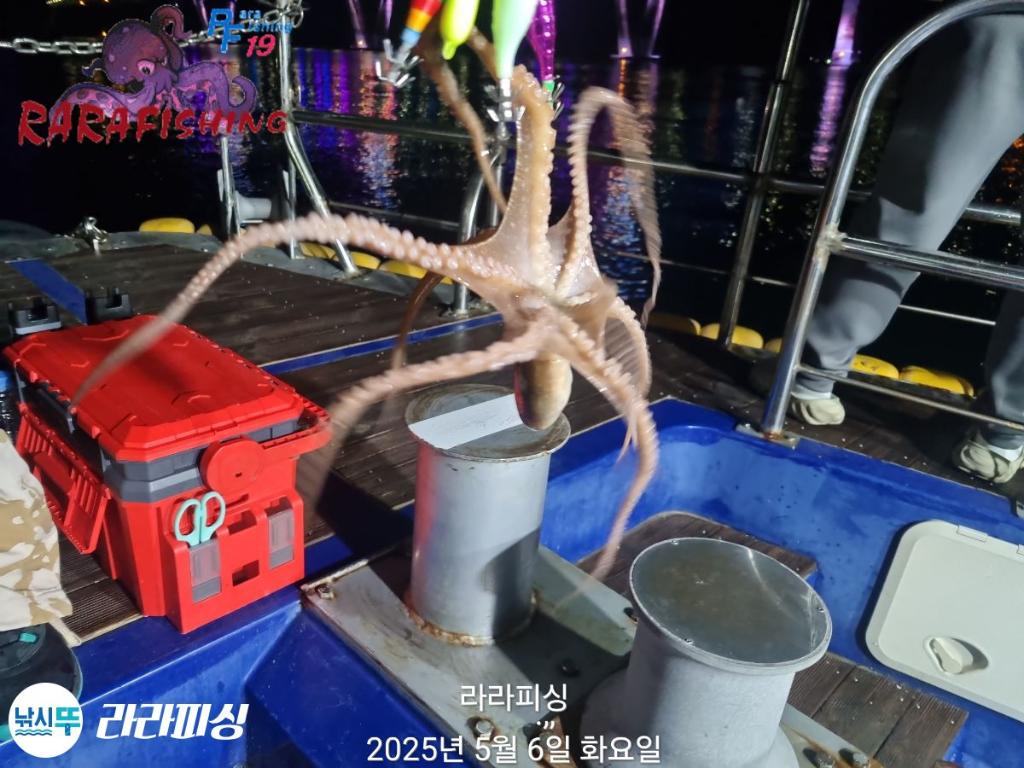 F2672877KU.jpg