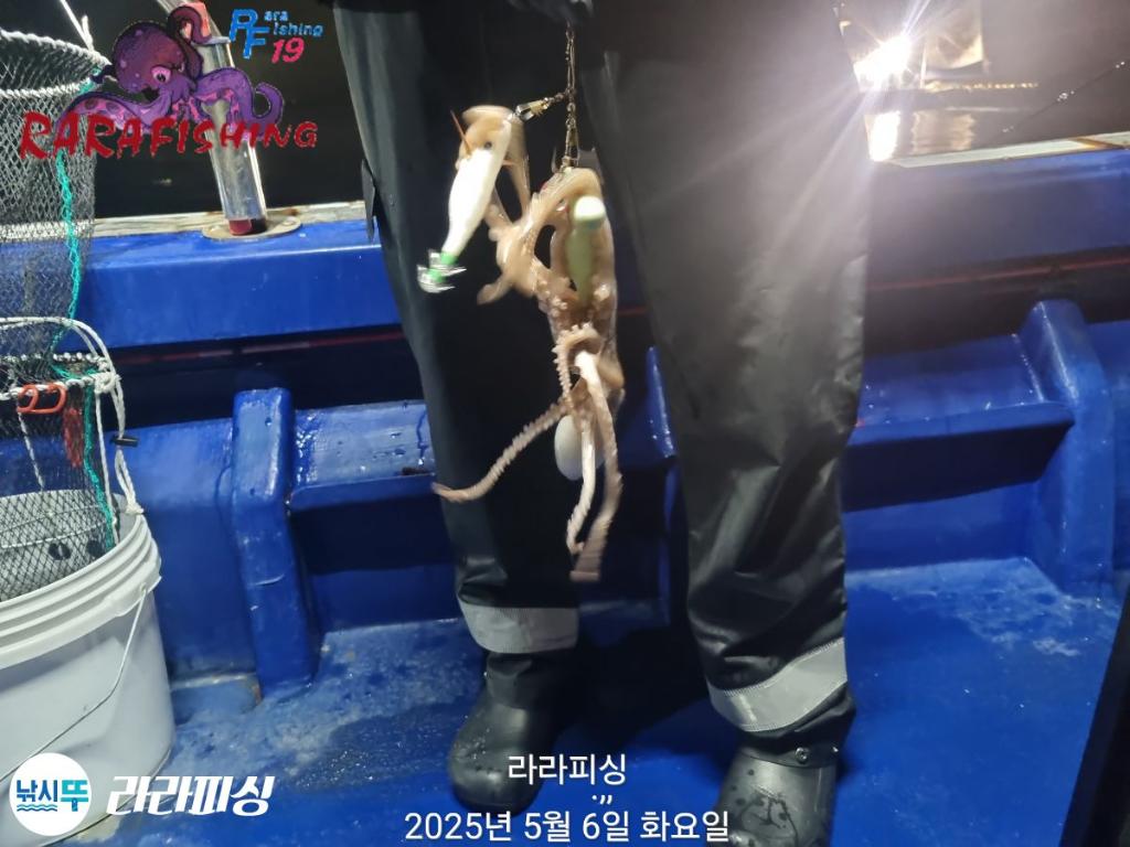F267288570.jpg