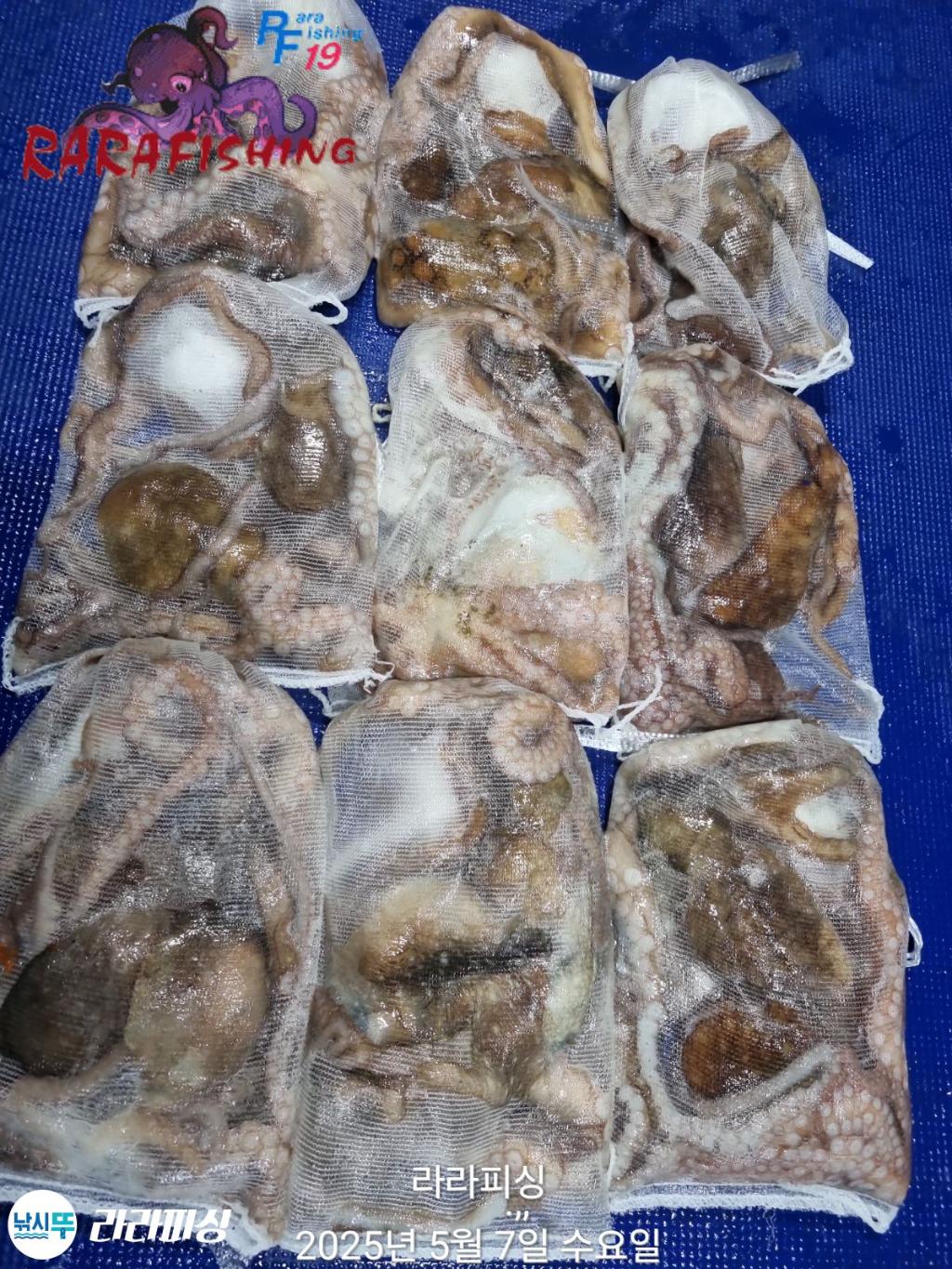 F26728984P.jpg
