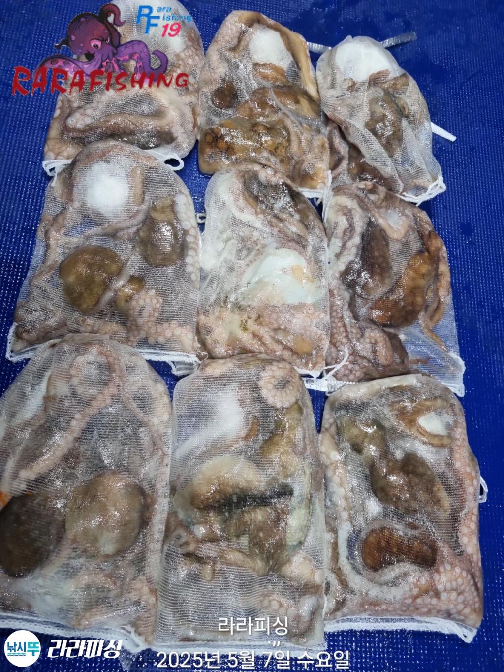 F2672899KY.jpg