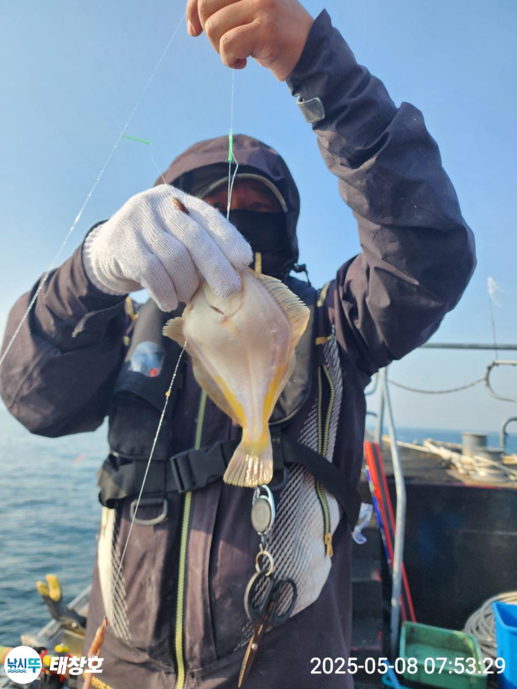 F2673042P7.jpg