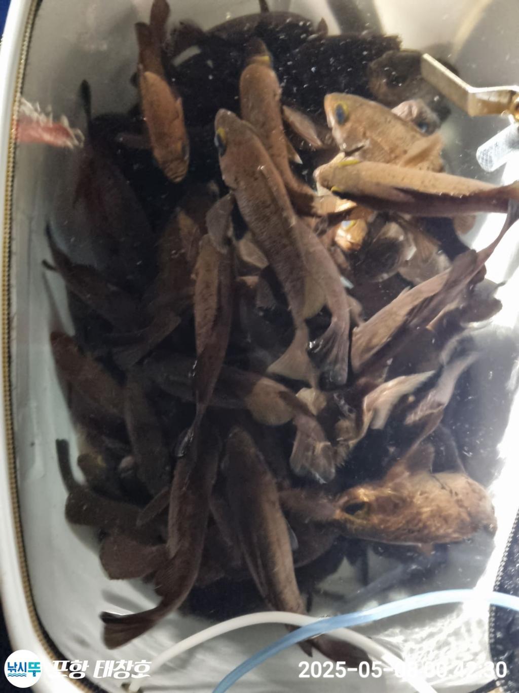 F2673085GG.jpg