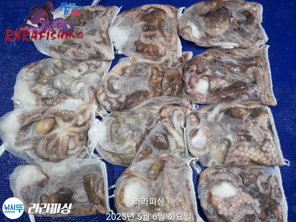 F2673184YQ.jpg