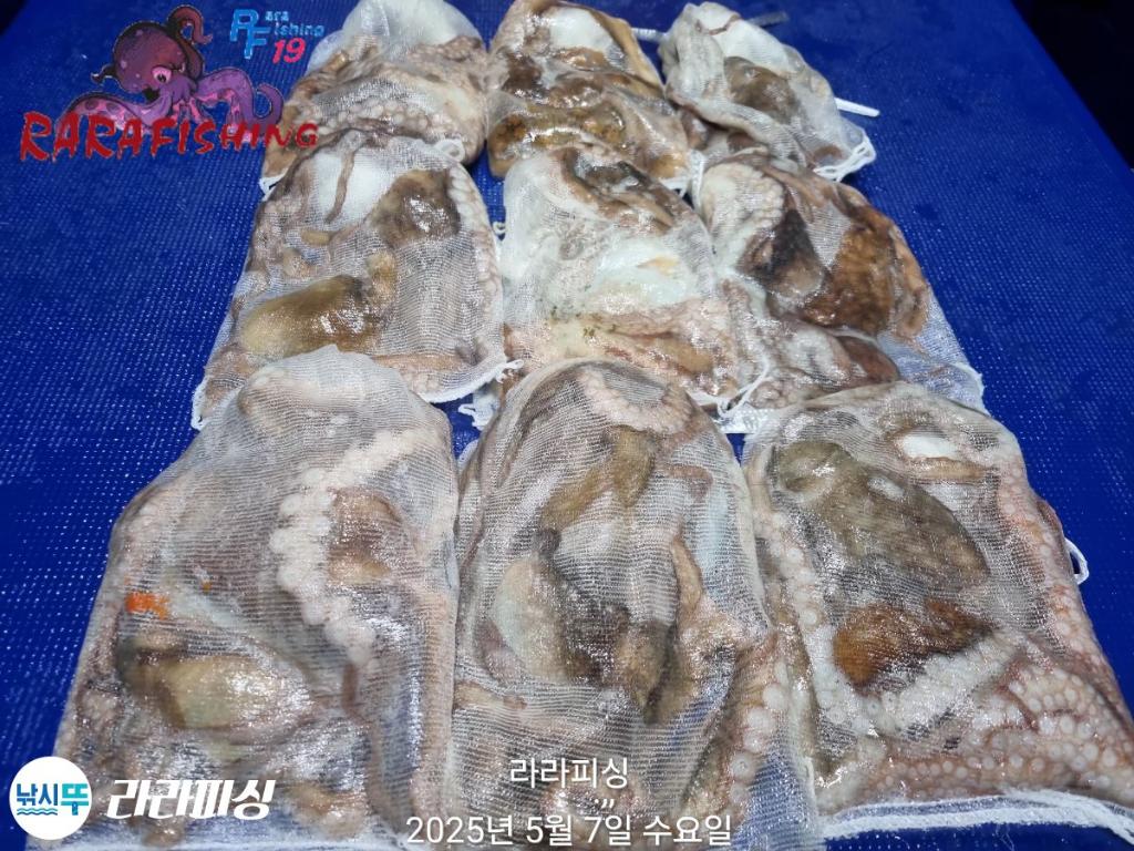 F2673188FV.jpg