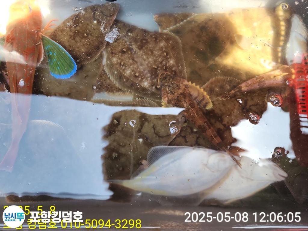 F2673297QC.jpg