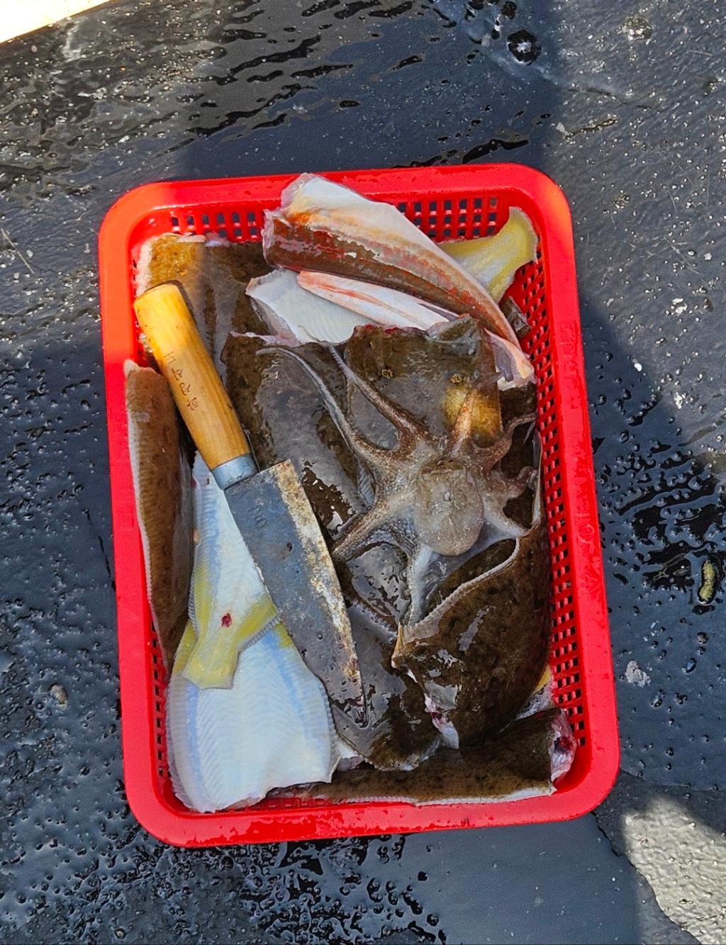 F2673373W5.jpg