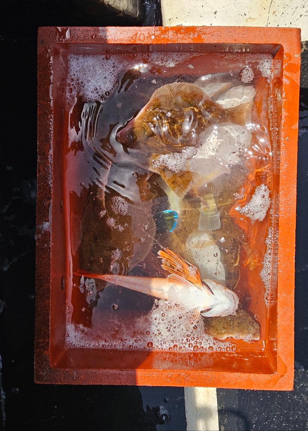 F2673374MN.jpg