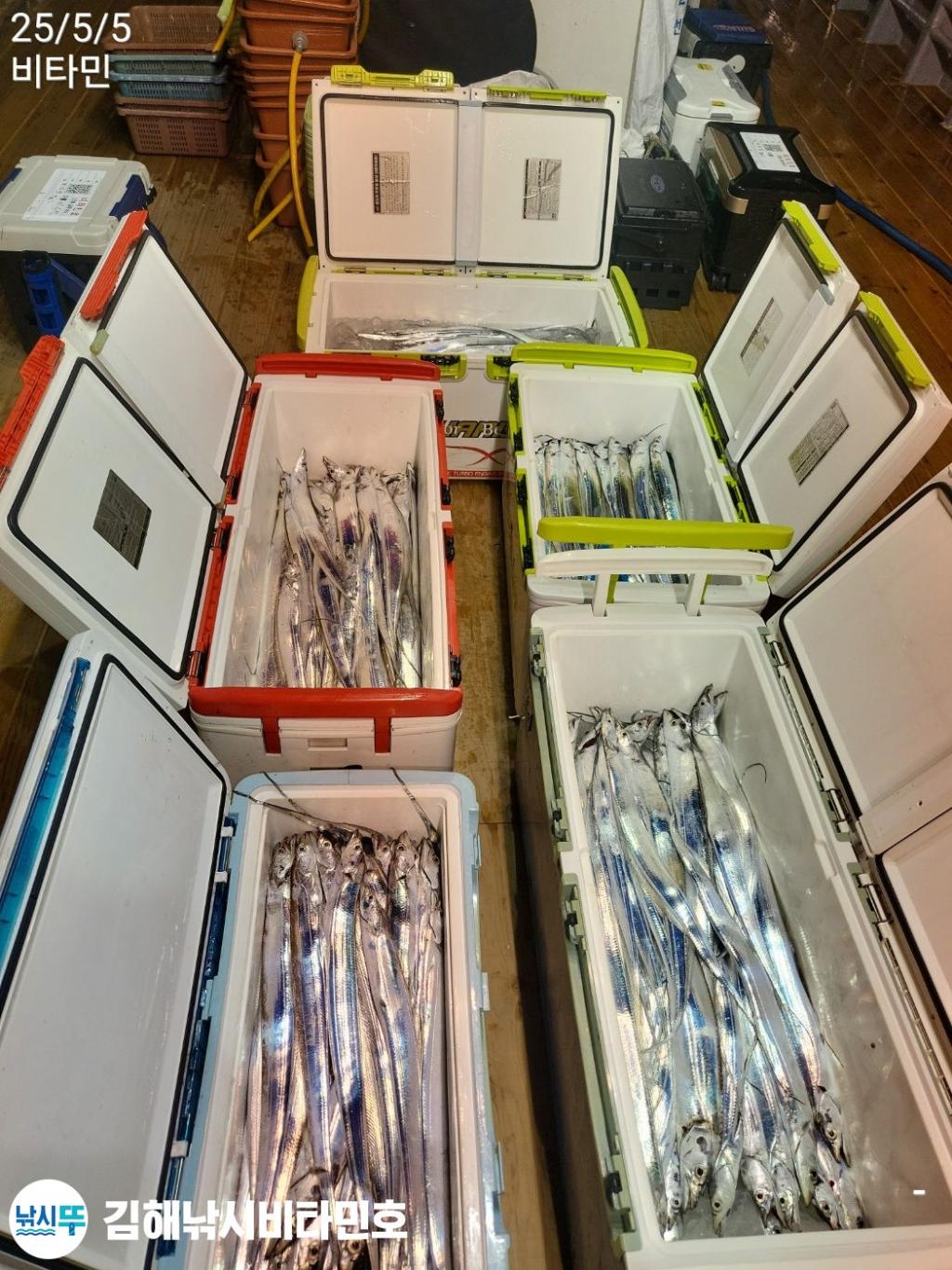 낚시뚜,볼락,진해 안골항,김해낚시 비타민호,낚시뚜19
