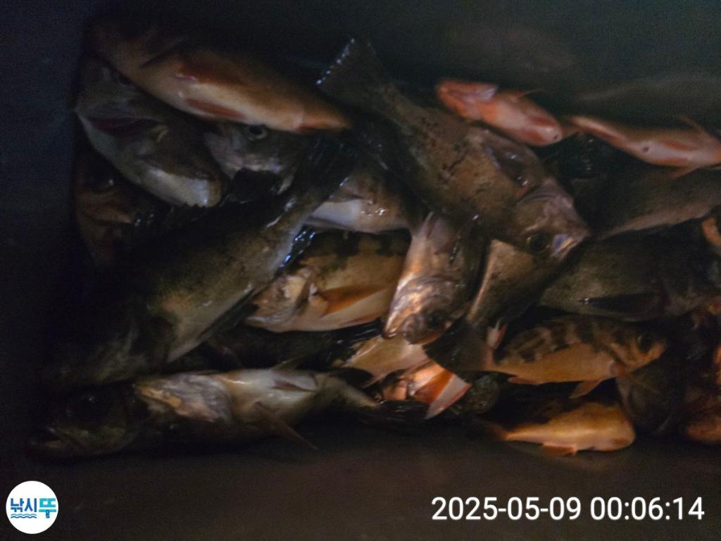 F267342563.jpg