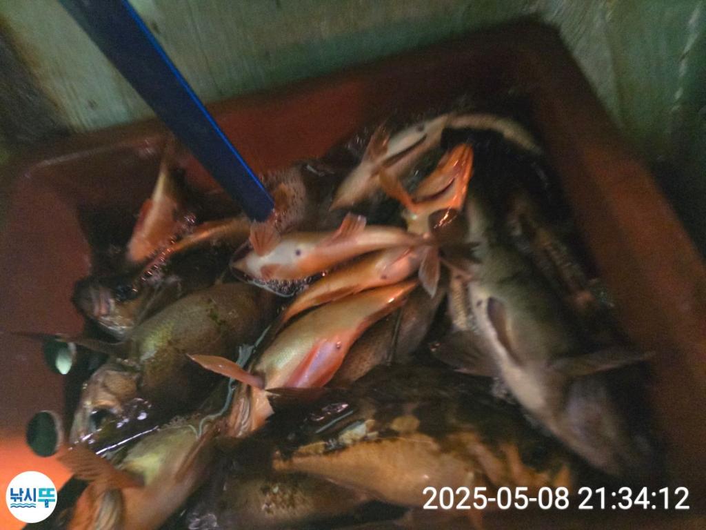 F2673431JV.jpg