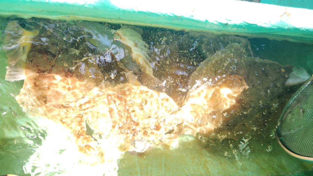 F2673595LK.jpg