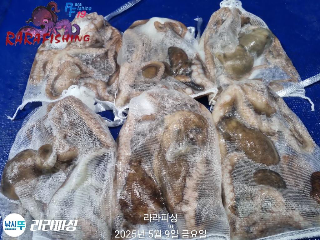 F2673655G7.jpg
