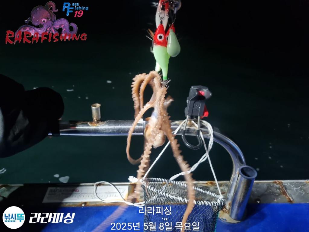 F2673665RQ.jpg