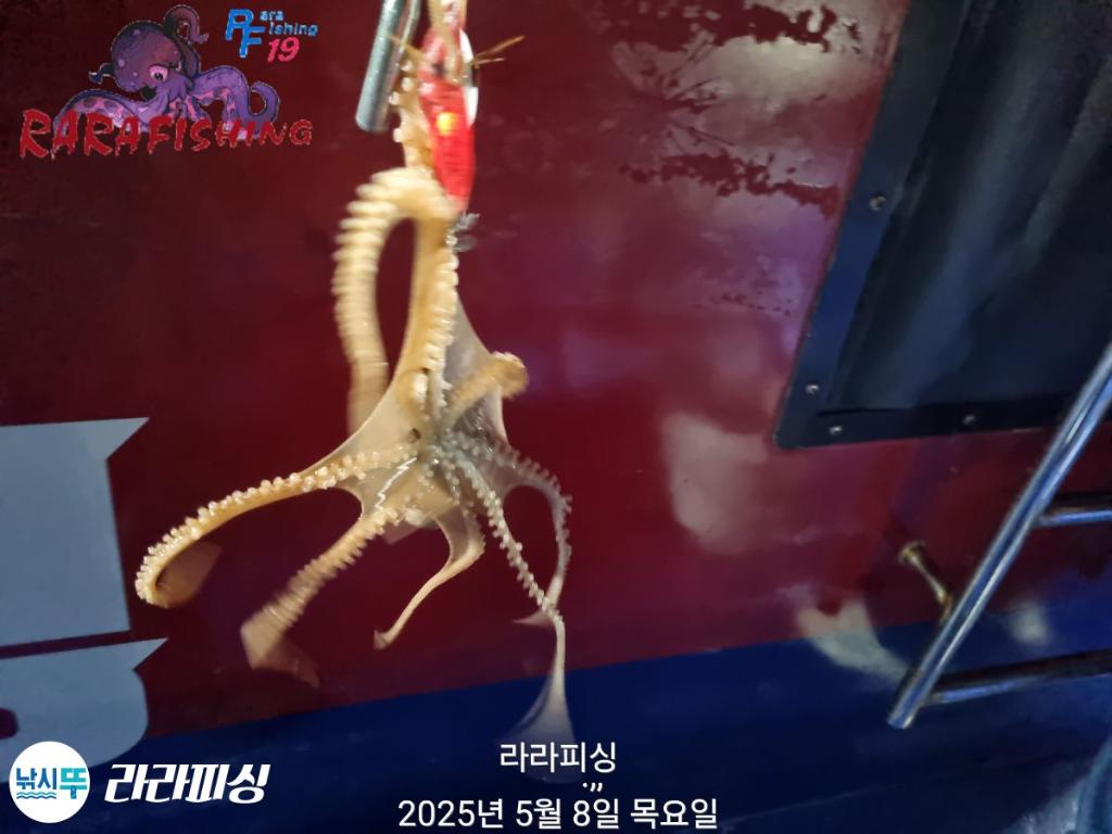 F2673666P2.jpg