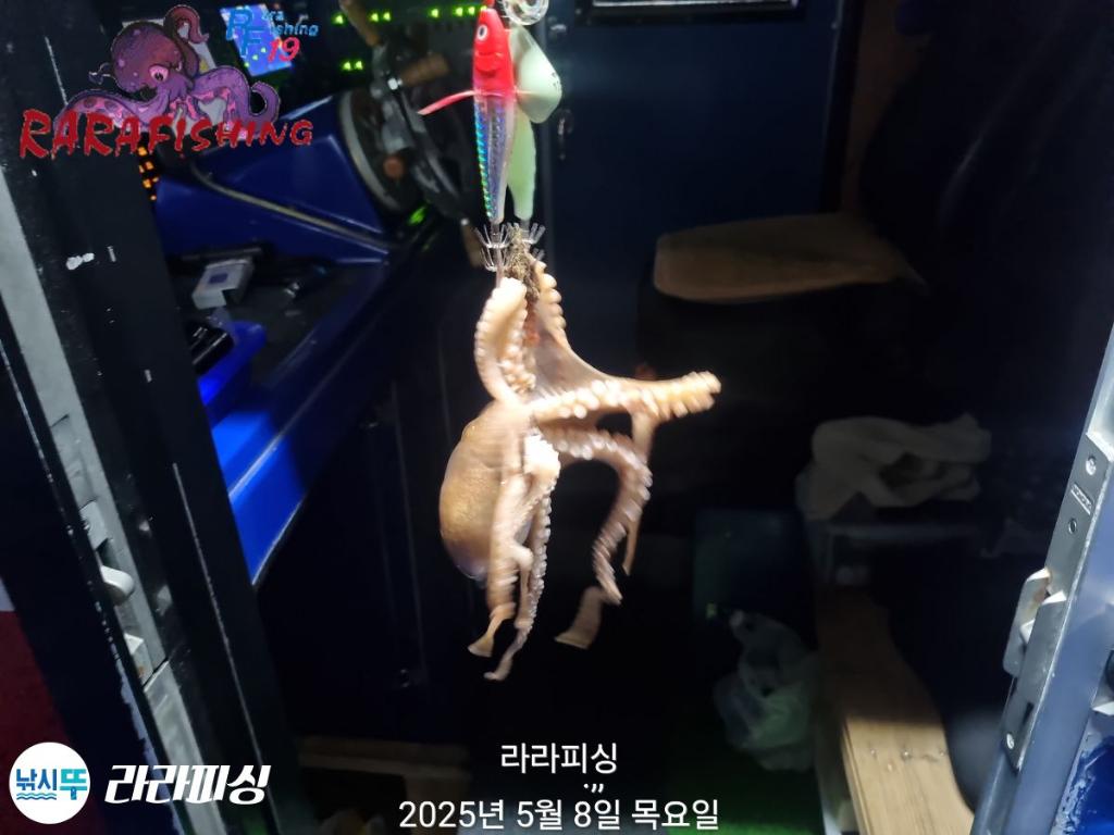 F2673670QW.jpg