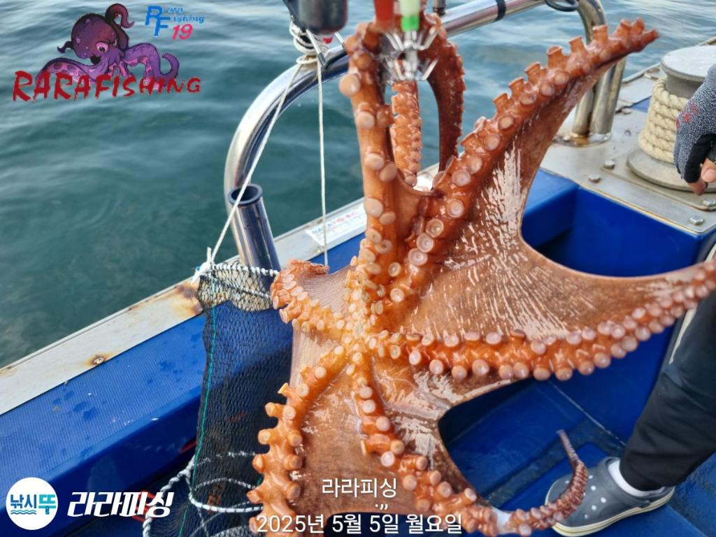 F2673684U0.jpg