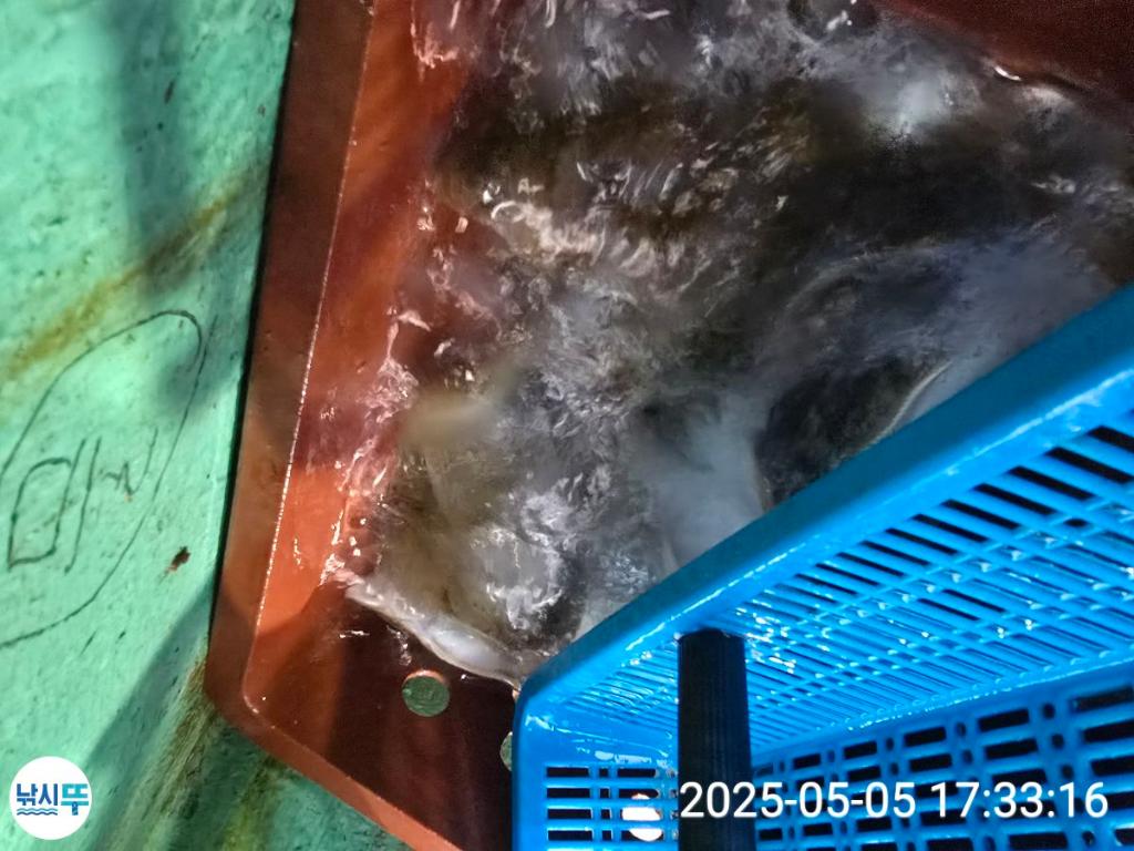 F267392598.jpg