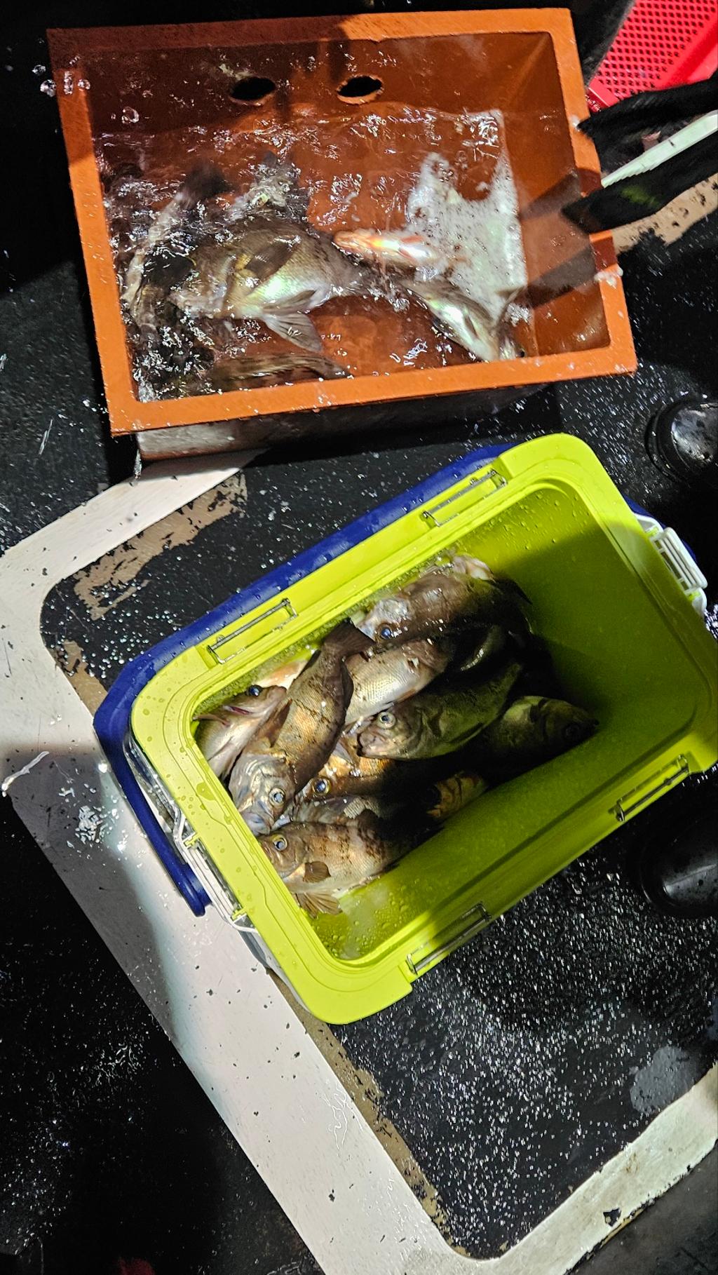 F2673950R2.jpg