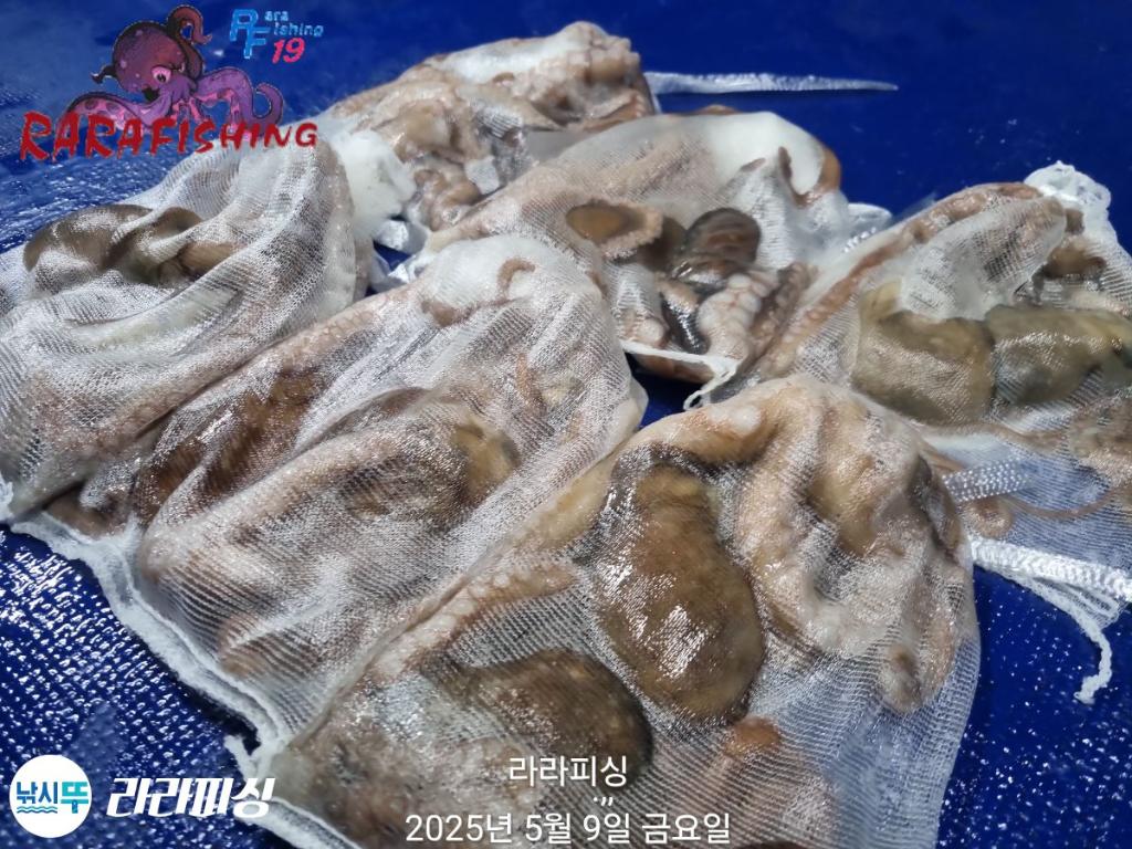 F2674068Y3.jpg