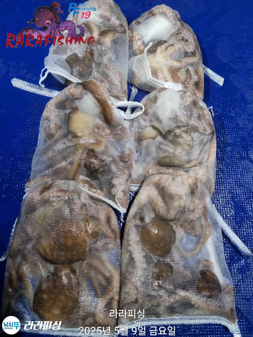 F2674091PY.jpg