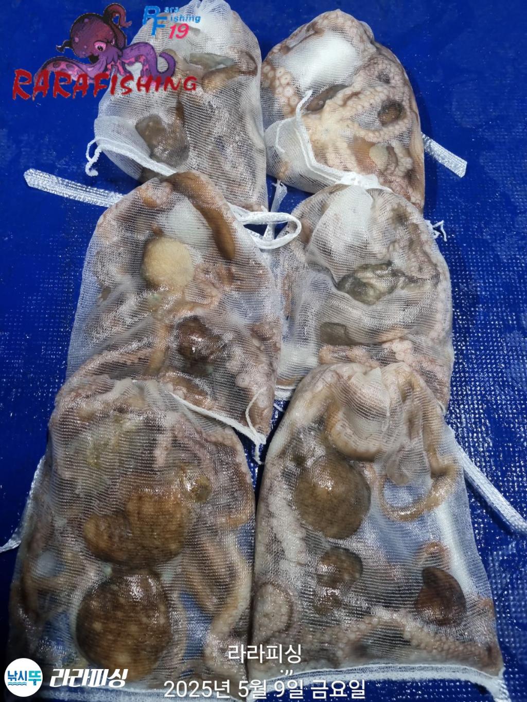 F267409289.jpg