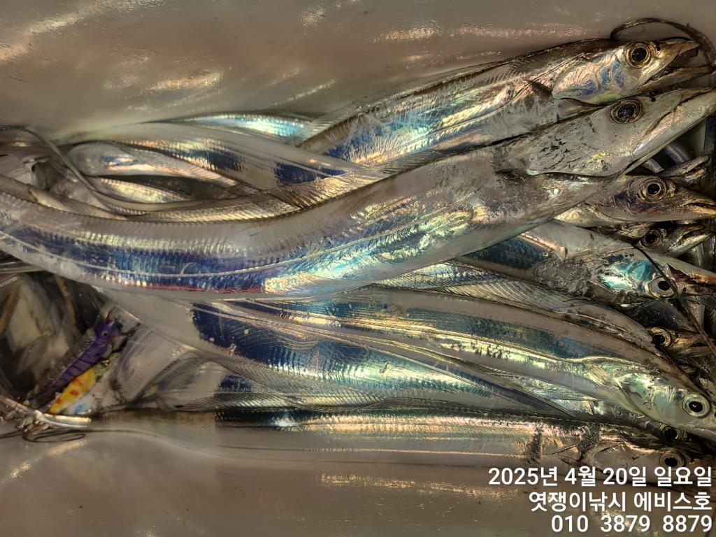 F2674101LL.jpg