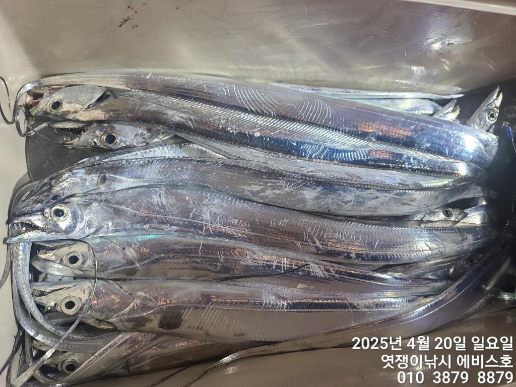 F2674109DY.jpg