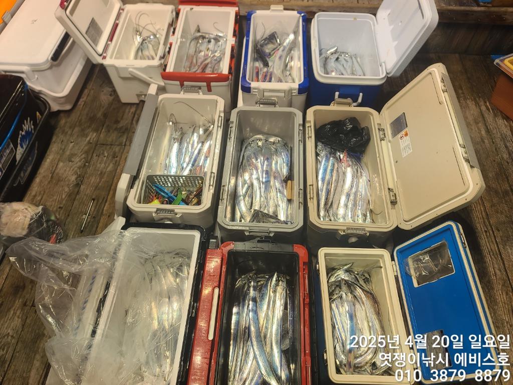 F2674113HW.jpg