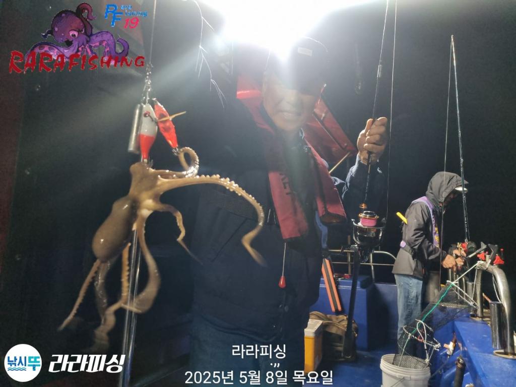 낚시뚜,낙지,속천항(진해),라라피싱,낚시뚜20