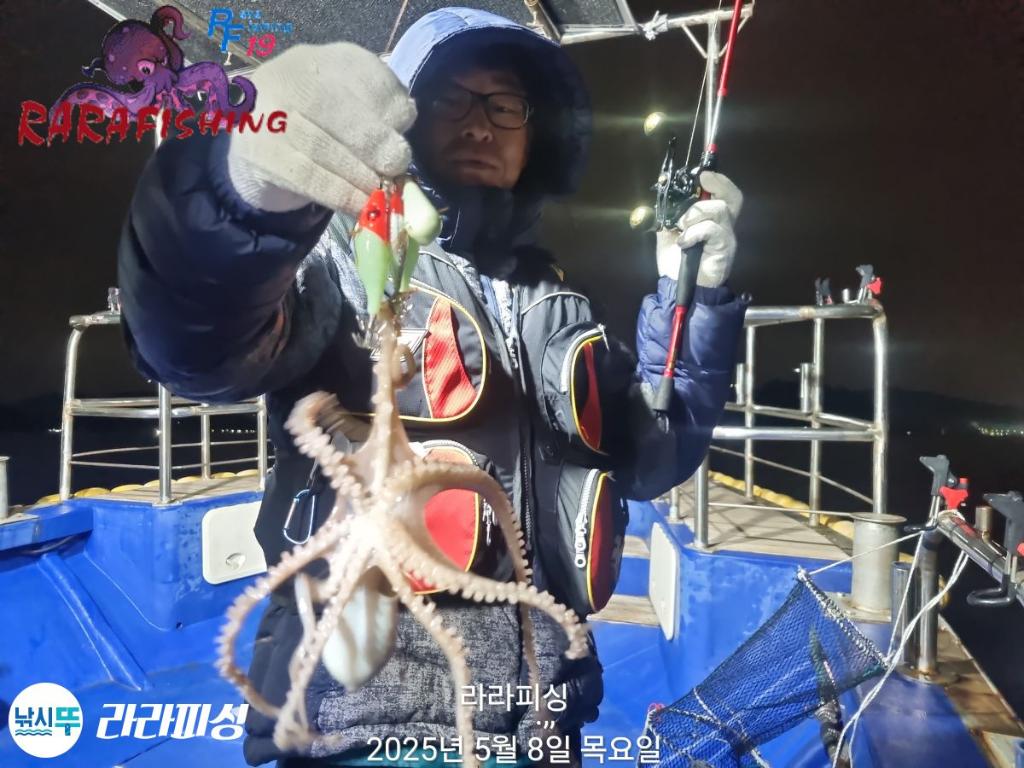 낚시뚜,낙지,속천항(진해),라라피싱,낚시뚜17
