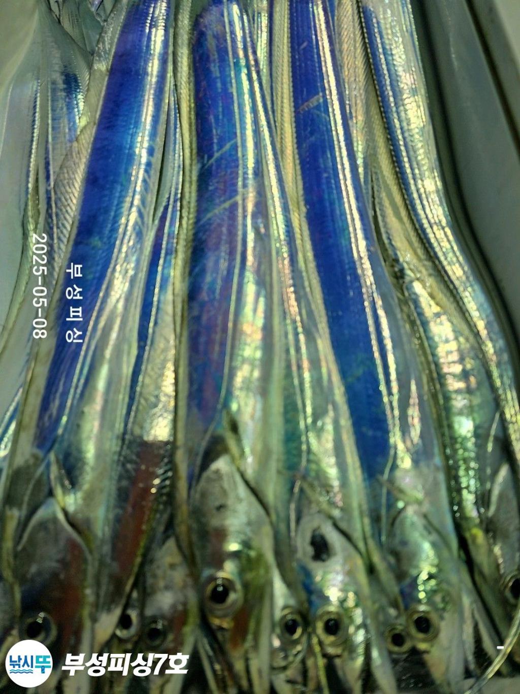 F2672940Q6.jpg