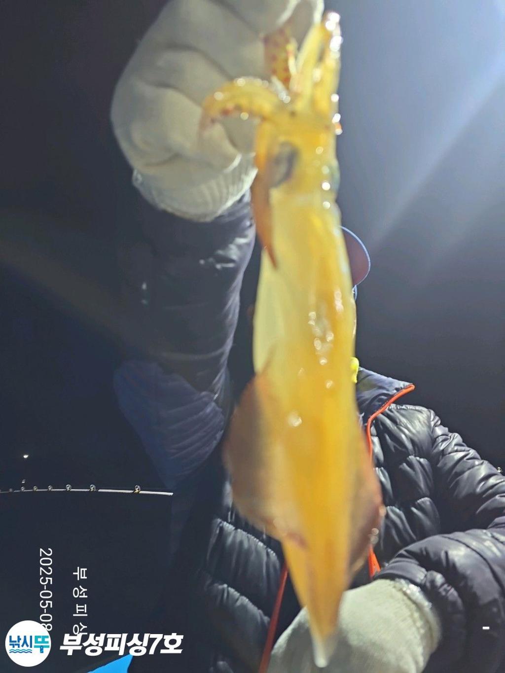 F2672958DO.jpg