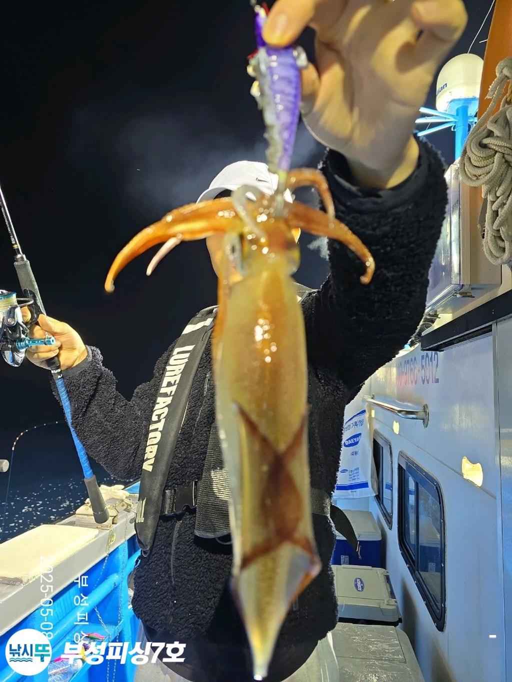 F2672960S2.jpg